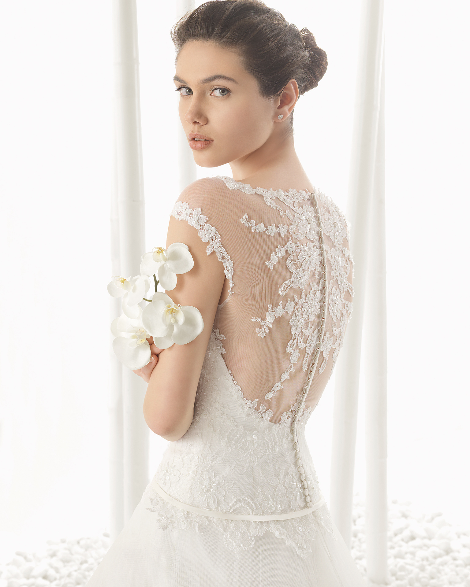 DINO_ROSA_CLARA_2016 b