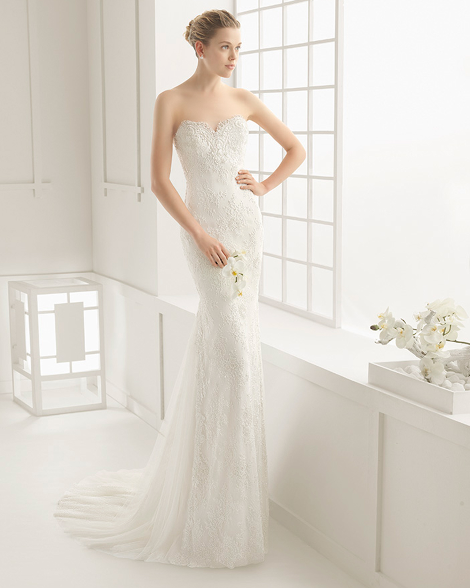 DYMAS_ROSA_CLARA_2016