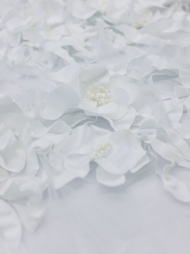 Ines di Santo Couture Spring 2027 - Vapor